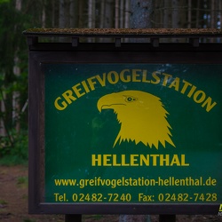 Greifvogelstation Hellenthal 