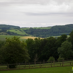 Adler- und Wolfspark Kasselburg